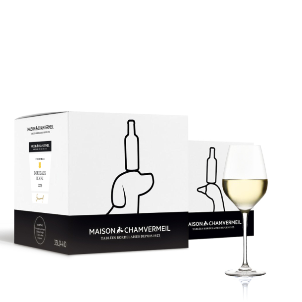 Vin AOC Bordeaux Blanc BLANC 2021 cubi 22