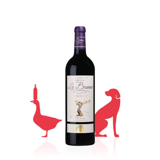 Château la Branne AOC Médoc Cru Bourgeois ROUGE 2016 carton 6 bouteilles