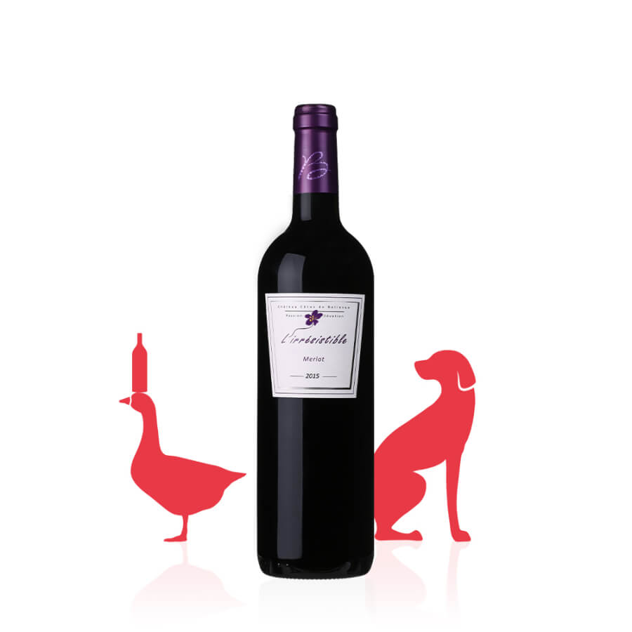 L'Irrésistible Merlot AOC Côtes de Bourg ROUGE 2015 carton 6 bouteilles