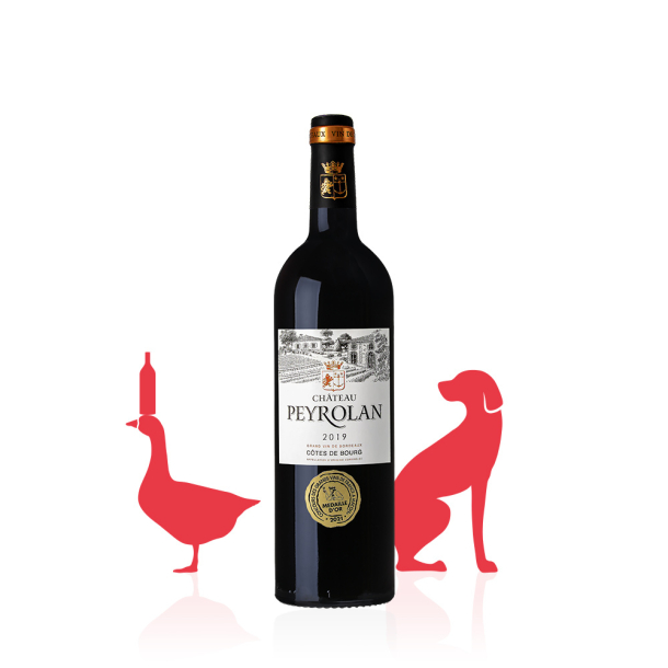 Château Peyrolan AOC Côtes de Bourg ROUGE 2019 carton 6 bouteilles