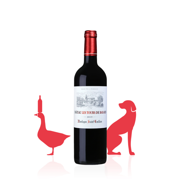 Château Les Tours de Bayard AOC Montagne Saint-Emilion ROUGE 2019 carton 6 bouteilles