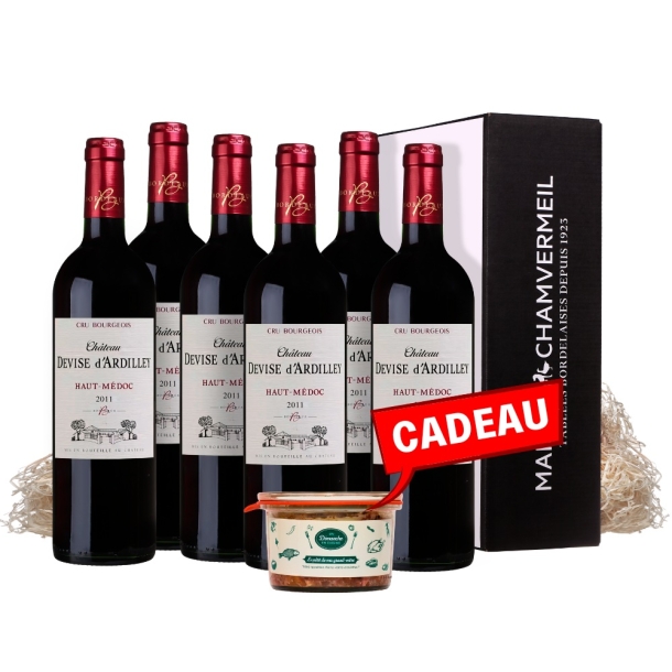 Château Devise d'Ardilley AOC Haut-Médoc Cru Bourgeois ROUGE 2011 carton 6 bouteilles