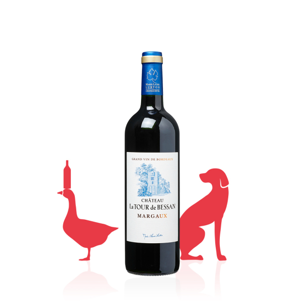 Château La Tour de Bessan AOC Margaux ROUGE 2019 carton 6 bouteilles