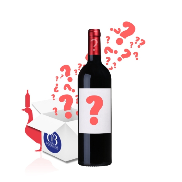Le Vin Mystère AOC Mystère ROUGE carton 6 bouteilles