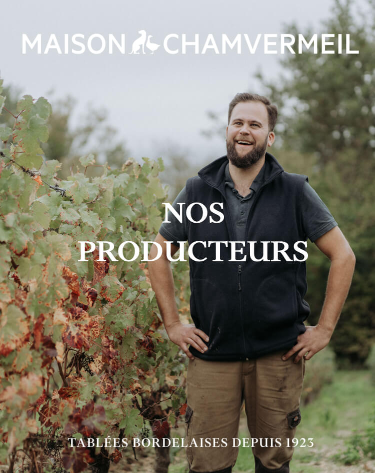 Nos producteurs vignes