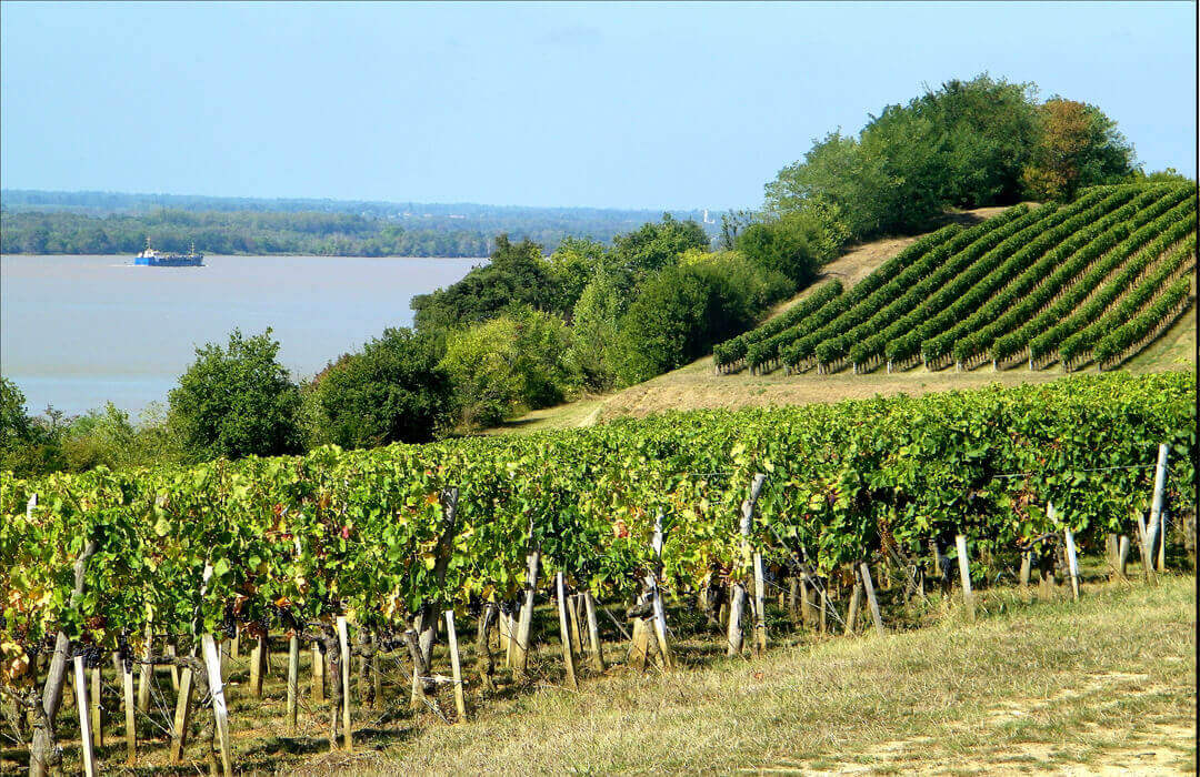 Côte de bourg