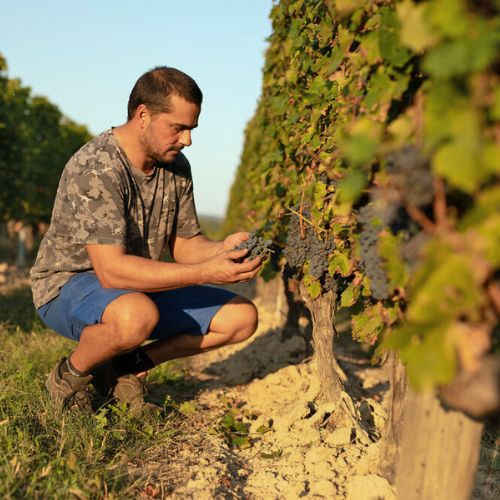avid Flaujac, co-gérant du Château Haut-Faures