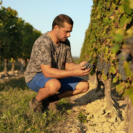 Rencontre avec David Flaujac, co-gérant du Château Haut-Faures
