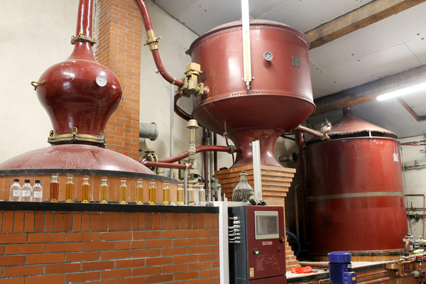 Distillerie Maison Confidential