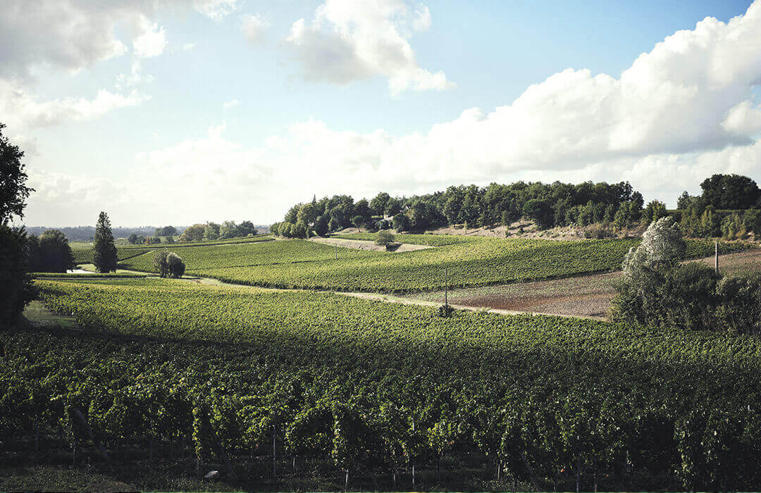 Francs-cotes de bordeaux