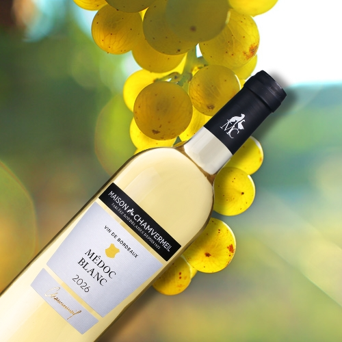 Une nouvelle AOC : le Médoc Blanc