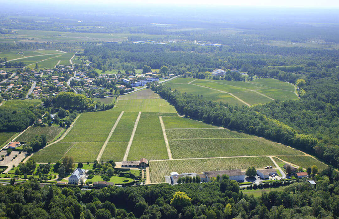 Pessac leognan rouge